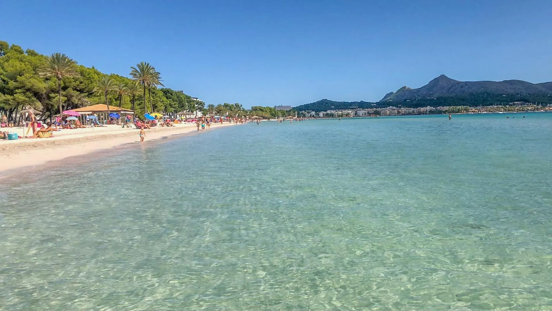 Holiday home Pollensa -3516 Mallorca